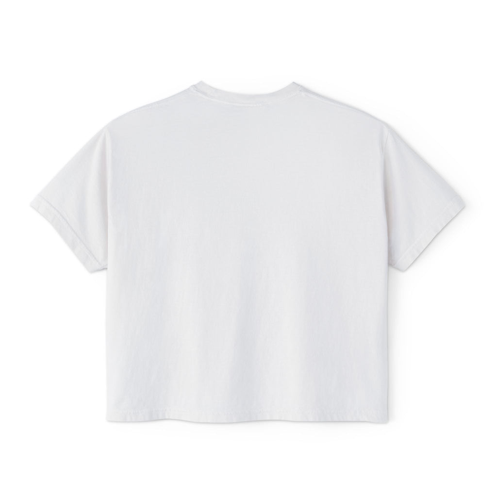 Cheers DC Skyline Hygiene Conference Tee | Boxy Tee